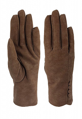   pf180  | Lorentino