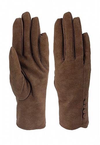  pf180  | Lorentino