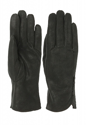   pf180  | Lorentino