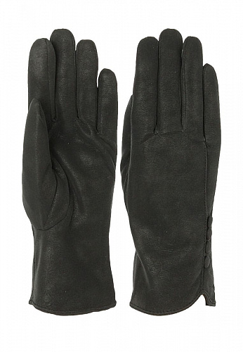   pf180  | Lorentino