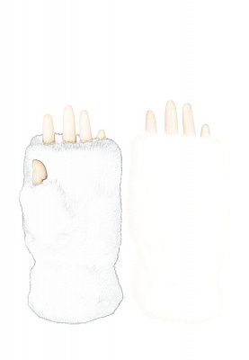   mit71  | Lorentino