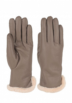   pf121  | Lorentino